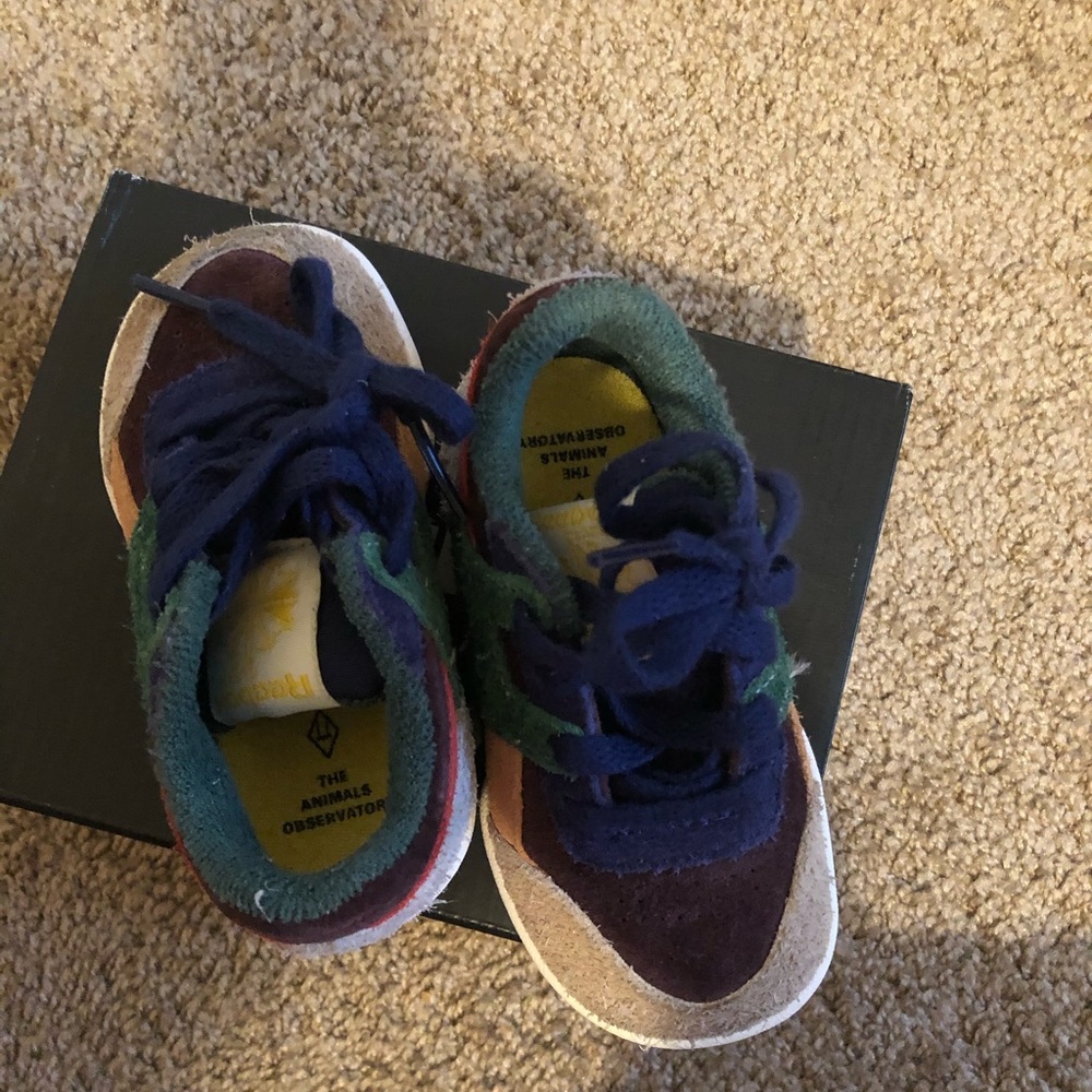 Reebok x Animal Observatory